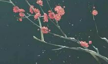 2020年12月10号出生的女孩起什么名字高分有诗意，五行属什么