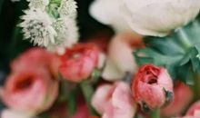 2020年4月生肖属牛和生肖属虎宜结婚的好日子