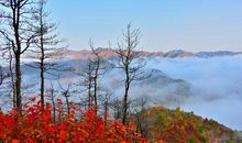 2019猪年出生的姓微生男孩怎么样起名字 姓微生男孩好名推荐(图文)