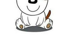 2019年生肖狗女命人该如何开运？(图文)