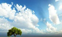 2019猪年出生的姓梁丘男孩怎么样起名字 姓梁丘男孩好名推荐(图文)