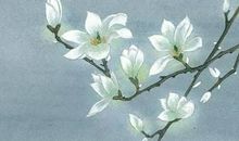 2020年12月11号出生的女孩五行属什么，免费八字起名字