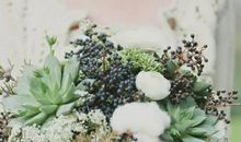 2020年3月生肖属狗和生肖属猪哪几天适合结婚