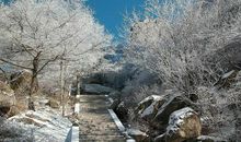 2019猪年出生的劳姓男孩怎么样起名字 姓劳男孩好名推荐(图文)