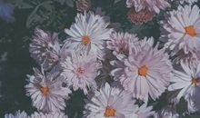 塔罗牌占卜：正缘什么时候到来呢？