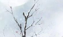 2020年5月18号四月二十六生的女孩是什么命，起什么名字高分