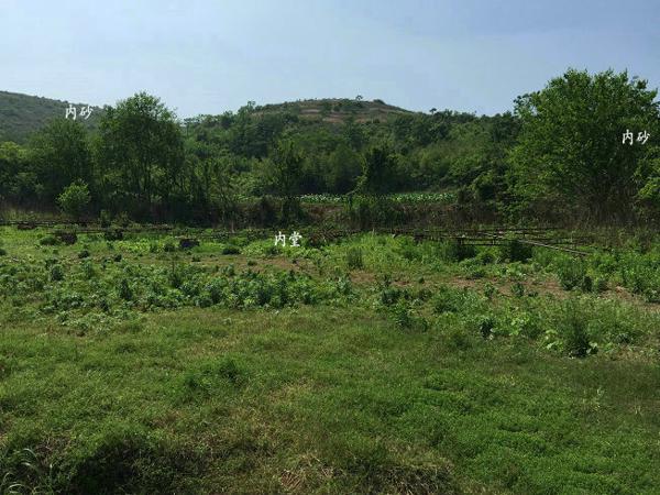 坟墓风水，风水大师王君植寻龙两江汇聚，富甲一方的风水宝地