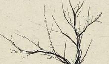 2020年12月16号出生的女孩起什么名字高分有诗意，五行属什么