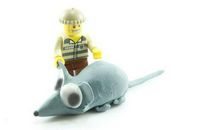 属鼠今年的运势