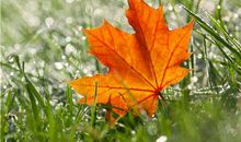 12生肖的人生劫数时间&避免方法