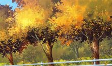 「中塔周运」11.11-11.17 | 每周运势全方位指导