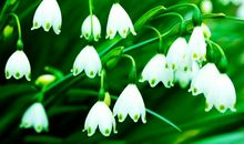 做事成熟沉稳，从不急于求成的三大星座