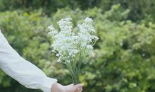 除了爱你，12星座想要得到哪种满足