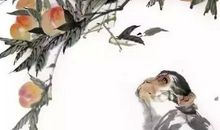 2020年新起点，事业树立新目标，财运收入不断攀高峰的生肖