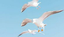 分享：12星座偏爱哪种安静