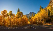 2019猪年出生的姓东郭男孩怎么样起名字 姓东郭男孩好名推荐(图文)