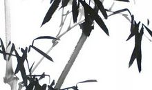 生肖属狗人2020年11月搬家黄道吉日查询，共有5天适合入宅乔迁