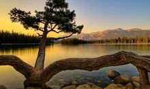 表面老实，其实是个“花心萝卜”的三大生肖男，最好色！