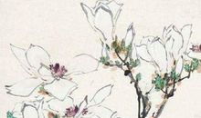 2020年4月19日三月二十七生的女孩是什么命，取什么名字好