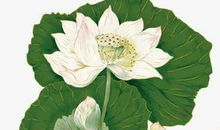 2020年四月出生的宝宝名字和宜用字