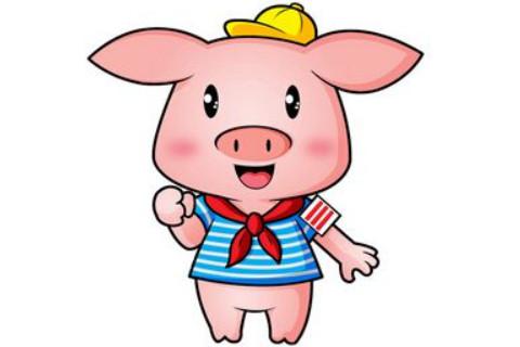 出生于1971年属猪的人2020年运程大全