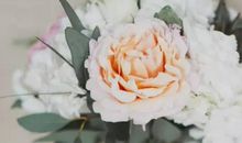 2020年3月生肖属鸡和生肖属猪适合结婚的吉日