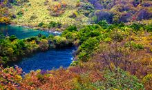农历三月开始，横财大旺，偏财不断，喜事临门的三生肖