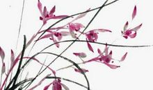 2020年3月12日二月十九生的男孩命运好吗，取什么名字福气好