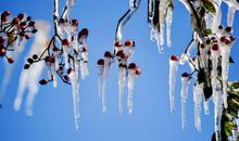 小寒节气出生五行缺木大气有寓意男孩起名(图文)