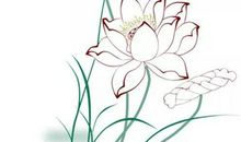 2020年4月11号三月十九生的人性格命运解析，五行八字查询