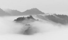 1950年丑时出生的生肖属虎人是什么命，付出即收获，财运渐好