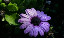 从5月开始，怀揣梦想，乘风破浪，一往无前的三大星座