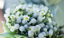 2020年4月生肖属牛和生肖属牛哪几天结婚好