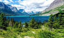 属兔女和属虎男的相配吗 婚姻状况怎么样(图文)