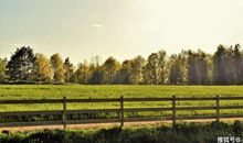 太懒，活该单身的星座，提不起兴趣，圈子固定