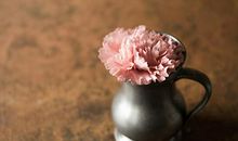 宋韶光2020年属牛运程