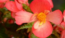 招财的3大生肖，家中有其中的生肖，家庭和睦孩子孝顺