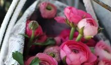 2020年4月生肖属牛和生肖属龙结婚吉日一览表