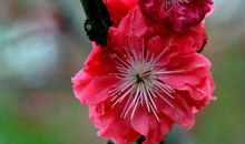 外财不尽，横财加身迎来富贵的生肖，11月起升职加薪，生活富有