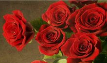 11月运势好到惹不起的生肖，运势翻倍涨，横财大奖遍地，要暴富