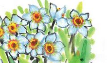 2020年12月出生的宝宝五行缺什么,缺水、缺木补充方法