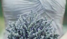 生肖属虎人2020年9月和10月宜结婚嫁娶的黄道吉日有哪些