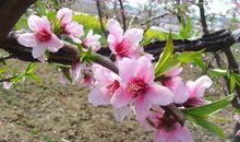 年底好事扎堆来，福气满满，财神坐镇，事业风生水起的3大生肖