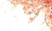 生肖属兔女2020年12月份生鼠宝宝好吗，命好吗