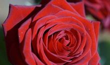 2019年底财运好的控制不住，贵人帮助不停歇的生肖，享不尽荣华