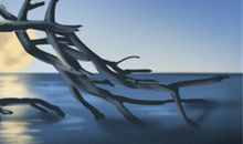 老祖宗留下来的夫妻生肖八字配对