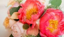 2020年生肖属兔人农历五月宜订婚的黄道吉日，共有16天精选好日子