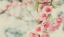 2020年3月23号出生的女孩怎么样起名，结合古诗词起名