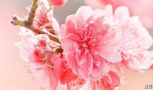 惹不起的几大星座，2020年票子数不完，霉运散，注定腰缠万贯