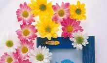 双鱼座的灵魂伴侣是什么样的人？